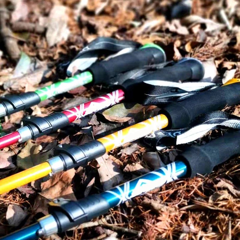Trekking Pole